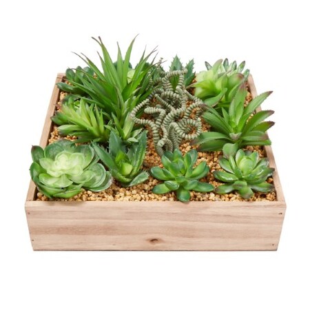 Nature Spring Nature Spring Artificial Succulent Arrangement 340202DIR